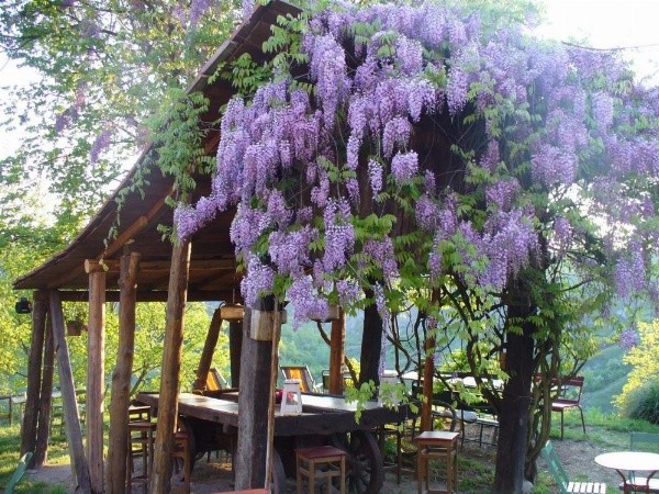 Casa Fluò Relais image 10