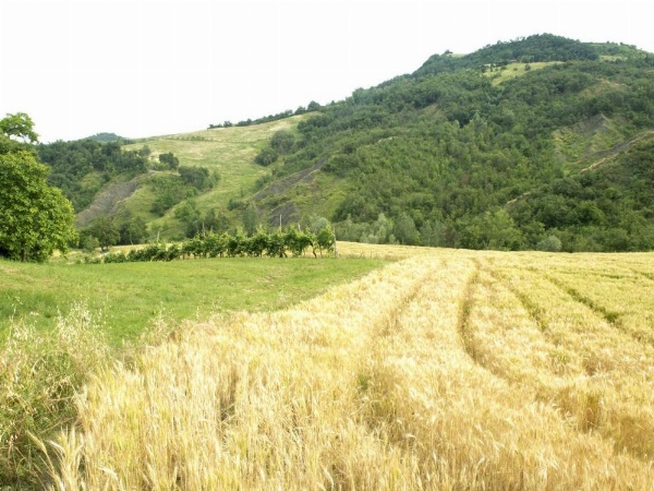 Casa Fluò Relais image 29